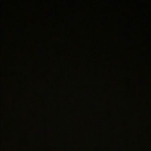 Meet your Posher, Alisha